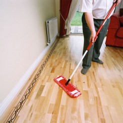 Floor Cleaning and Repair Accessories - Noyeks Newmans
