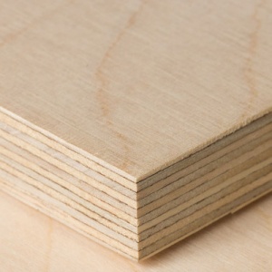 LOSAN - Plywood - Noyeks Newmans