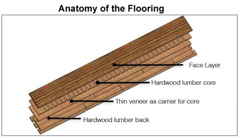 Engineered Wood Flooring - Noyeks Newmans