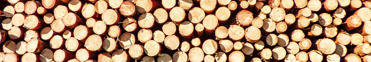 Noyeks - Timber Cladding - Softwood - Pao - Cornice - Shiplap