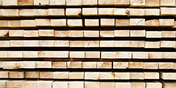 Noyeks - Softwood - Timber - Wood - Pao