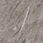 SILVERBACK MARBLE - Gloss