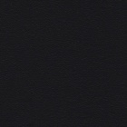 SWISSCDF - U 190 PE Black