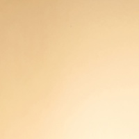 POLYREY - O101 Or Brillant