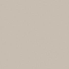 POLYREY - B116 Beige Nature