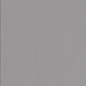 POLYREY - I004 Inox Brossé 