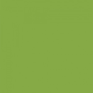 POLYREY - C049 CactusPOLYREY - C049 Cactus