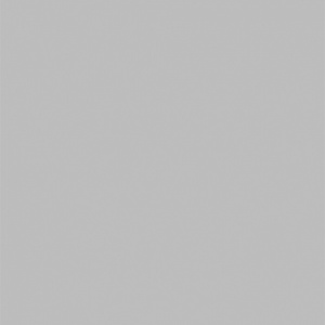 POLYREY - G044 Gris Dauphin