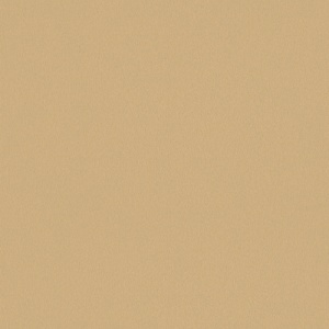 FINSA - SUPERPAN 18mm MFC Champan Metalizado  8X4 Moon Txt