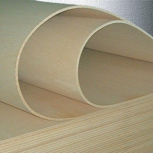 LOSAN BENELUX - Veneered Flexible Plywood