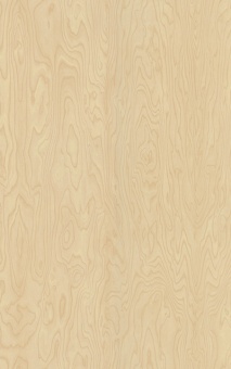 POLYREY - B102 Bouleau de Sibérie