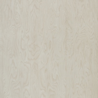 POLYREY - B192 Bouleau StevensonPOLYREY - B192 Bouleau Stevenson