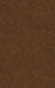 POLYREY - B139 Bronze Doré