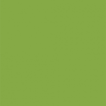 POLYREY - C049 CactusPOLYREY - C049 Cactus