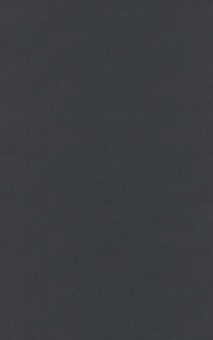 POLYREY - C011 Caviar