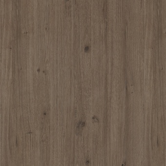 POLYREY - C132 Chêne des Marais