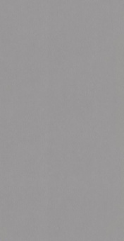 POLYREY - I004 Inox Brossé 