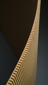FINSA - Fibraform E-Z Flexi MDF Longrain