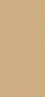 FINSA - SUPERPAN 18mm MFC Champan Metalizado  8X4 Moon Txt