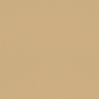 FINSA - SUPERPAN 18mm MFC Champan Metalizado  8X4 Moon Txt