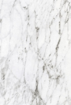 CARRERA MARBLE - Gloss