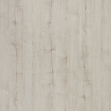 POLYREY - B193 Bouleau de Gaspésie