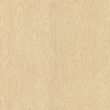 POLYREY - B102 Bouleau de Sibérie