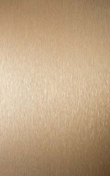 POLYREY - B141 Bronze Brossé