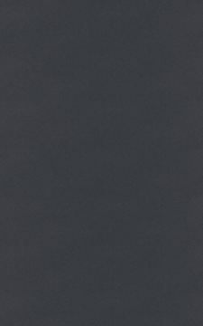 POLYREY - C011 Caviar