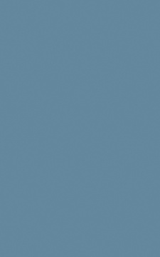 POLYREY - C118 Cèdre Bleu