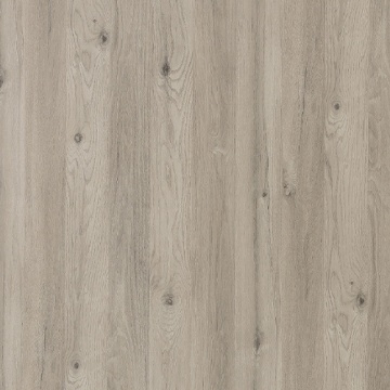POLYREY - C183 Chêne d'Argent