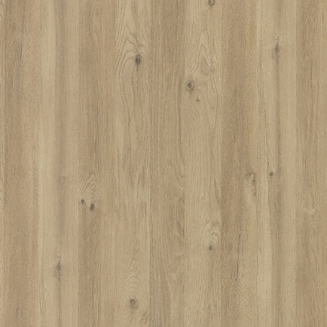 POLYREY - C179 Chêne des Massifs