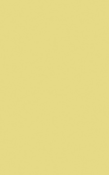 POLYREY - C117 Citronnelle