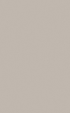 POLYREY - F026 Feutre