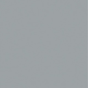 POLYREY - G003 Gris Perle 