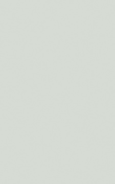 POLYREY - G116 Gris Halo