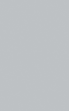 POLYREY - G029 Gris Tourterelle