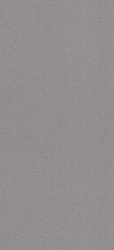 POLYREY - L068 Lézard