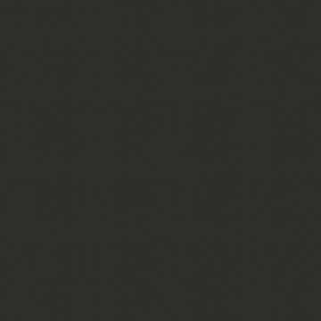 POLYREY - N119 Noir Pépite