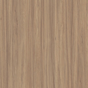 POLYREY - N056 Noisetier Naturel