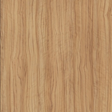 POLYREY - O030 Olivier de Séville