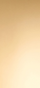 POLYREY - O101 Or Brillant