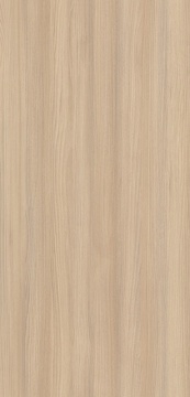 POLYREY - O081 Orme des Flandres