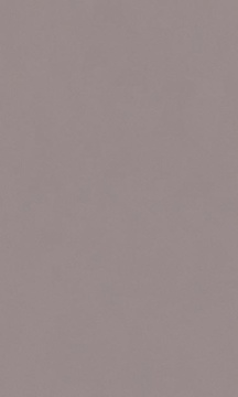 POLYREY - P024 Pearl Argent