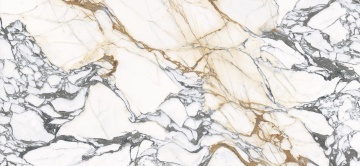 LEVEL ITALIAN PORCELAIN - Calacatta Paonazzo