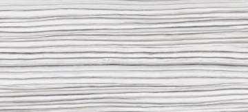 LEVEL ITALIAN PORCELAIN - Zebrino