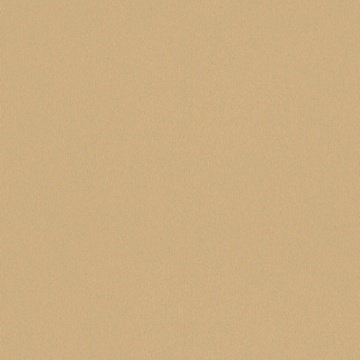 FINSA - SUPERPAN 18mm MFC Champan Metalizado  8X4 Moon Txt