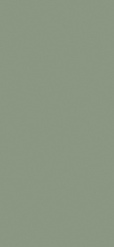 FINSA - SUPERPAN 18mm MFC Verde Arcilla 8X4 S3 Txt