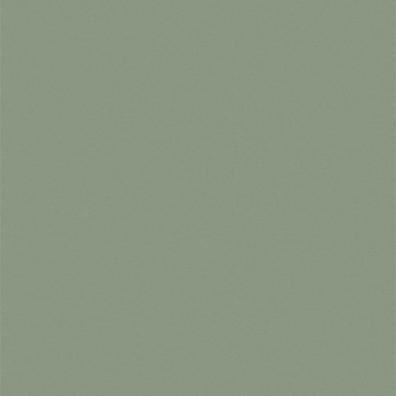 FINSA - SUPERPAN 18mm MFC Verde Arcilla 8X4 S3 Txt