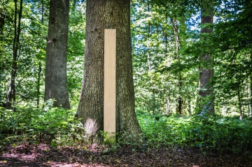 KRONOSWISS Artureon - Euro Oak Beige Waterproof FlooringKRONOSWISS Artureon - Euro Oak Cream Waterproof Flooring